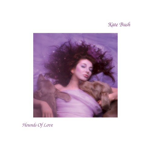 Hounds of Love cover