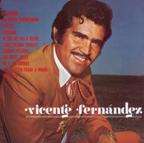 Vicente Fernández cover