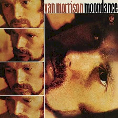 Moondance cover
