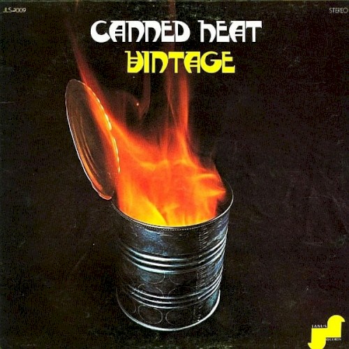 Vintage cover