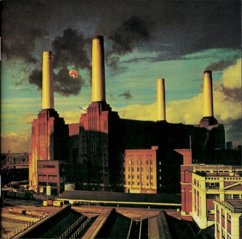 Animals cover