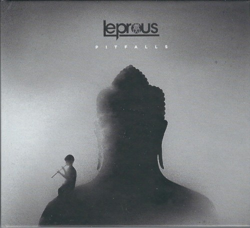Pitfalls cover