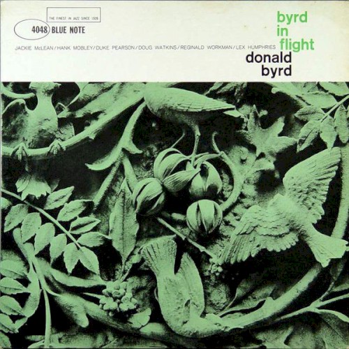 Byrd in Flight cover