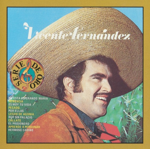 Vicente Fernández cover