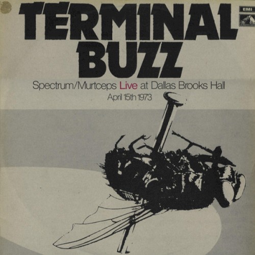 Terminal Buzz cover