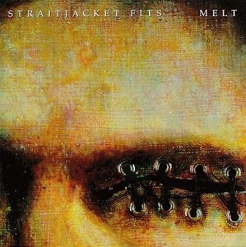 Melt cover