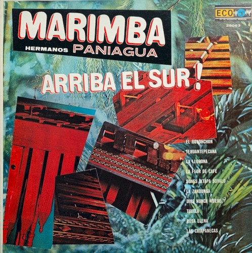 Arriba el sur! cover