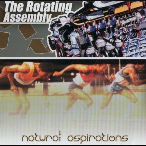 Natural Aspirations cover
