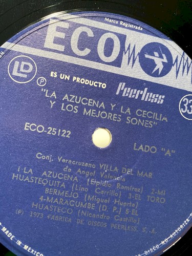 La Azucena y la Cecilia y los mejores sones cover