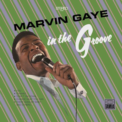 In the Groove cover