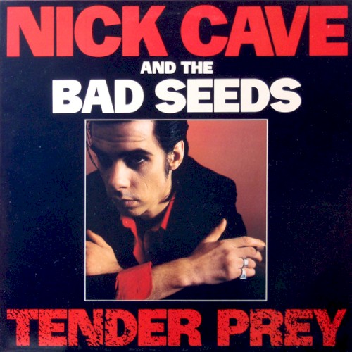 Tender Prey cover