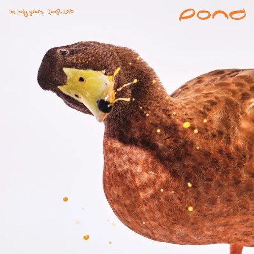 The Early Years: 2008-2010 cover