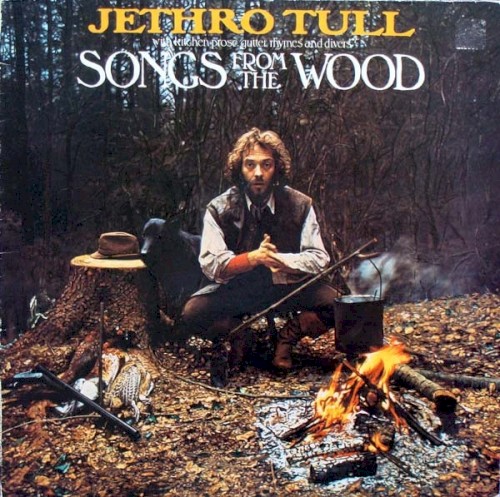 Songs From the Wood cover
