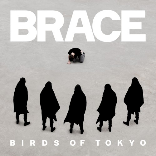BRACE cover