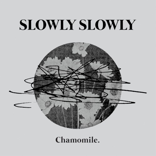 Chamomile cover