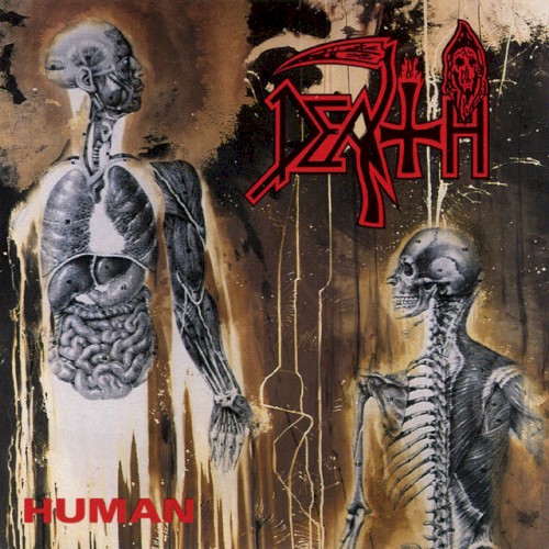 Human cover