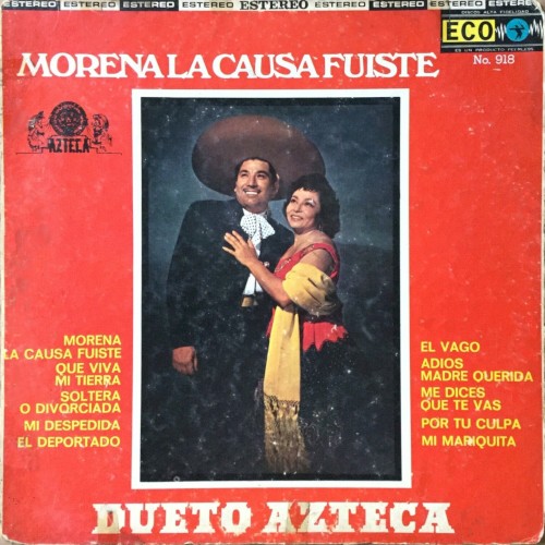 Morena la causa fuiste cover