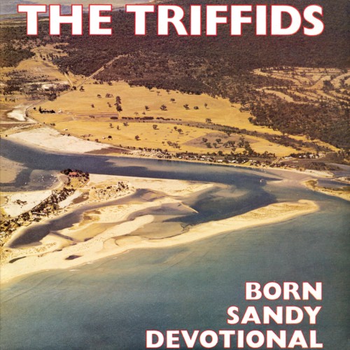 Born Sandy Devotional cover