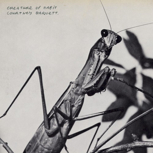 Creature of Habit cover
