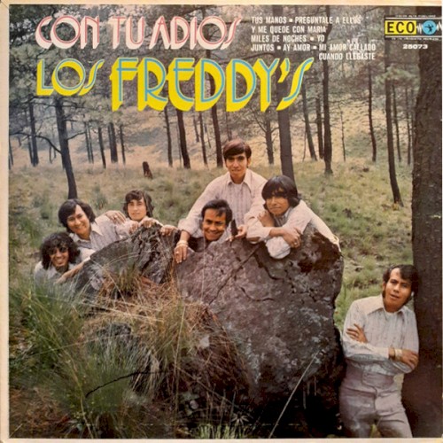 Con tu adiós cover