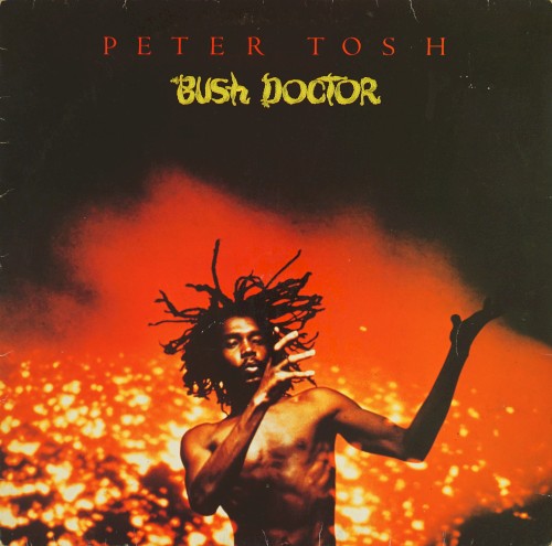 Bush Doctor cover