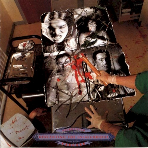 Necroticism: Descanting the Insalubrious cover