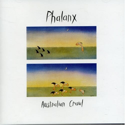 Phalanx cover