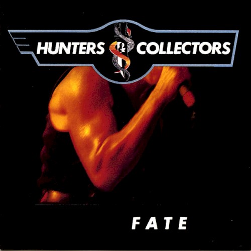 Fate cover