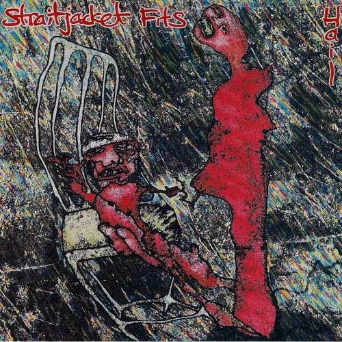 Hail cover
