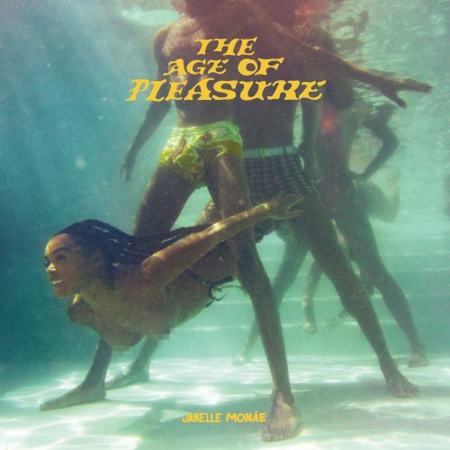 The Age of Pleasure cover