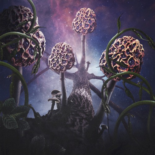 Hallucinogen cover