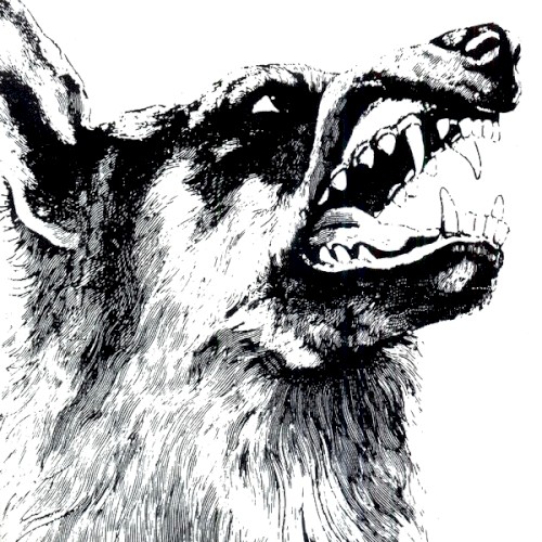 I, Vigilante cover