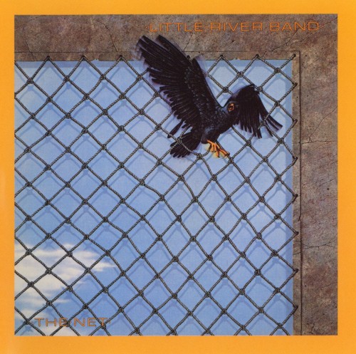 The Net cover