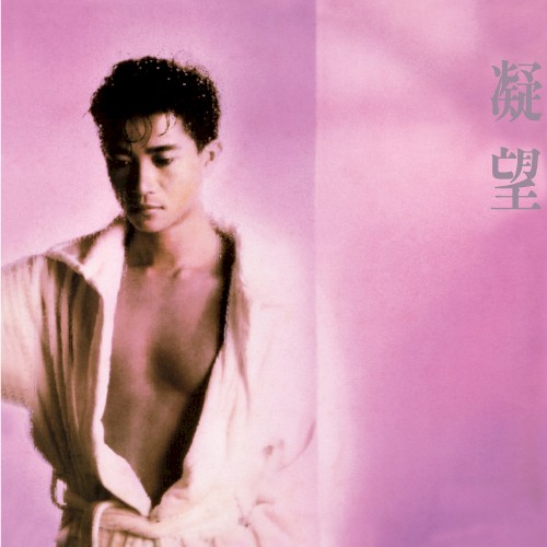 凝望 cover