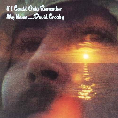 If I Could Only Remember My Name cover