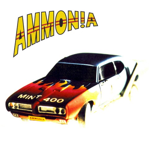 Mint 400 cover