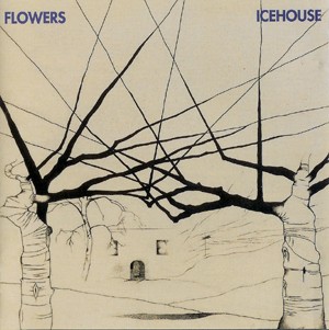 Icehouse cover