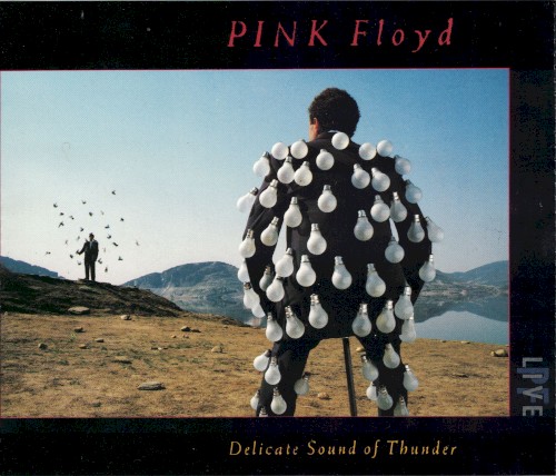 Delicate Sound of Thunder cover
