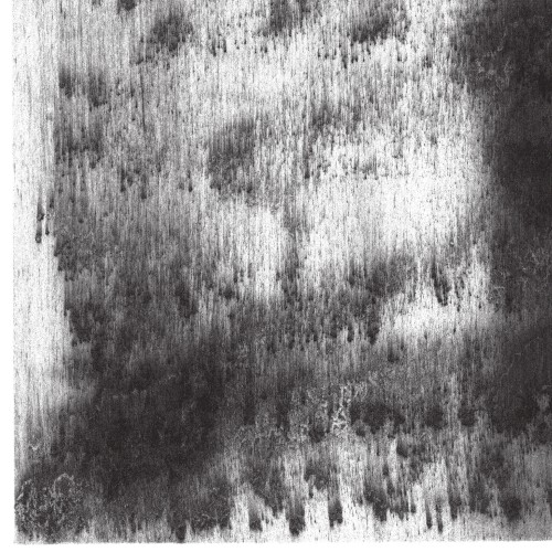 Viento cover