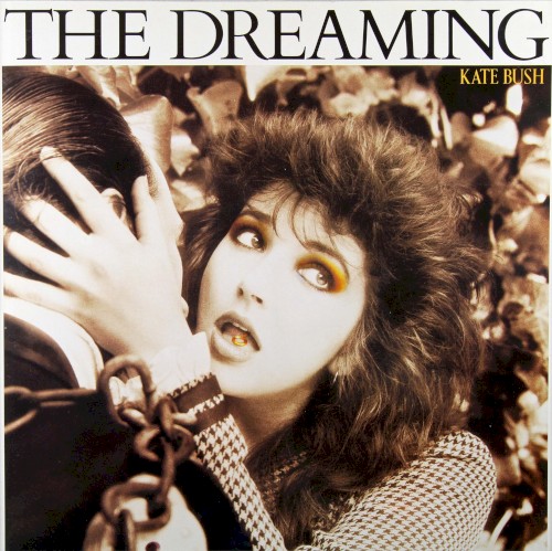 The Dreaming cover