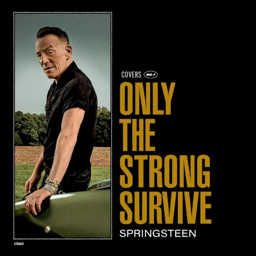 Only the Strong Survive: Covers, Vol. 1 cover