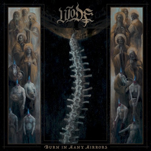 Burn in Many Mirrors cover