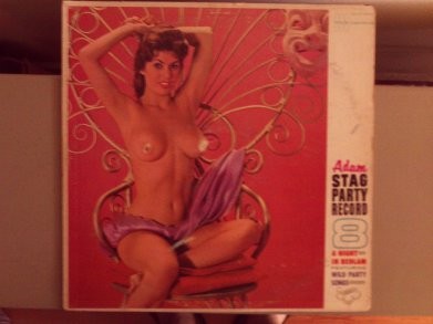 Adam Stag Party Record 8: A Night in Bedlam cover