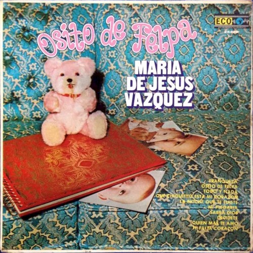 Osito de felpa cover
