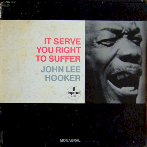 It Serve You Right to Suffer cover