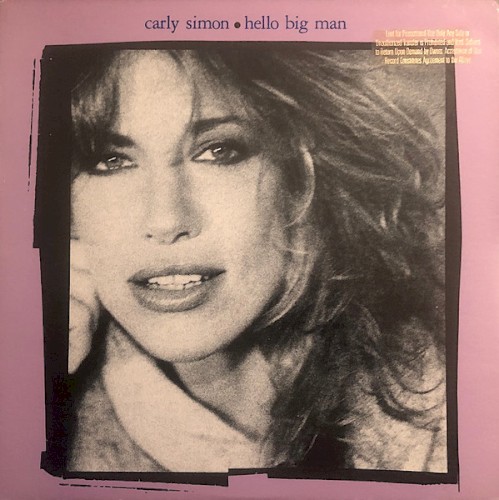 Hello Big Man cover