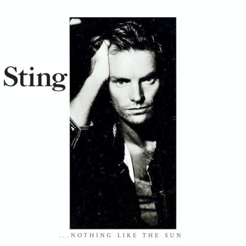…Nothing Like the Sun cover