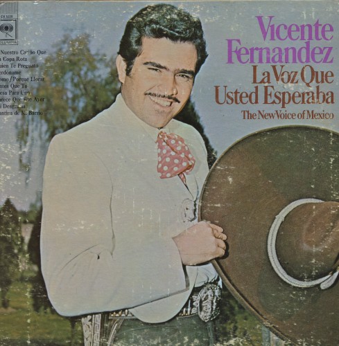 La voz que usted esperaba cover