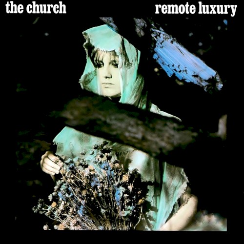 Remote Luxury cover