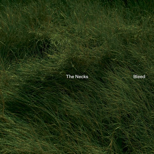Bleed cover